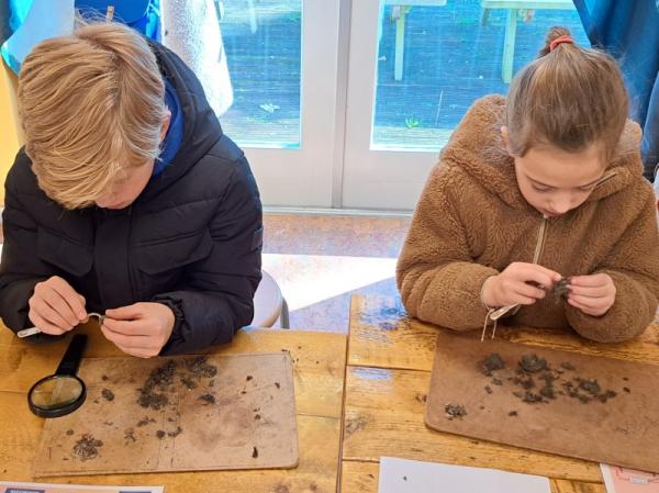 braakballen-pluizen-stichting-het-zeeuwse-landschap